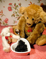 Adventures of 2 Bears